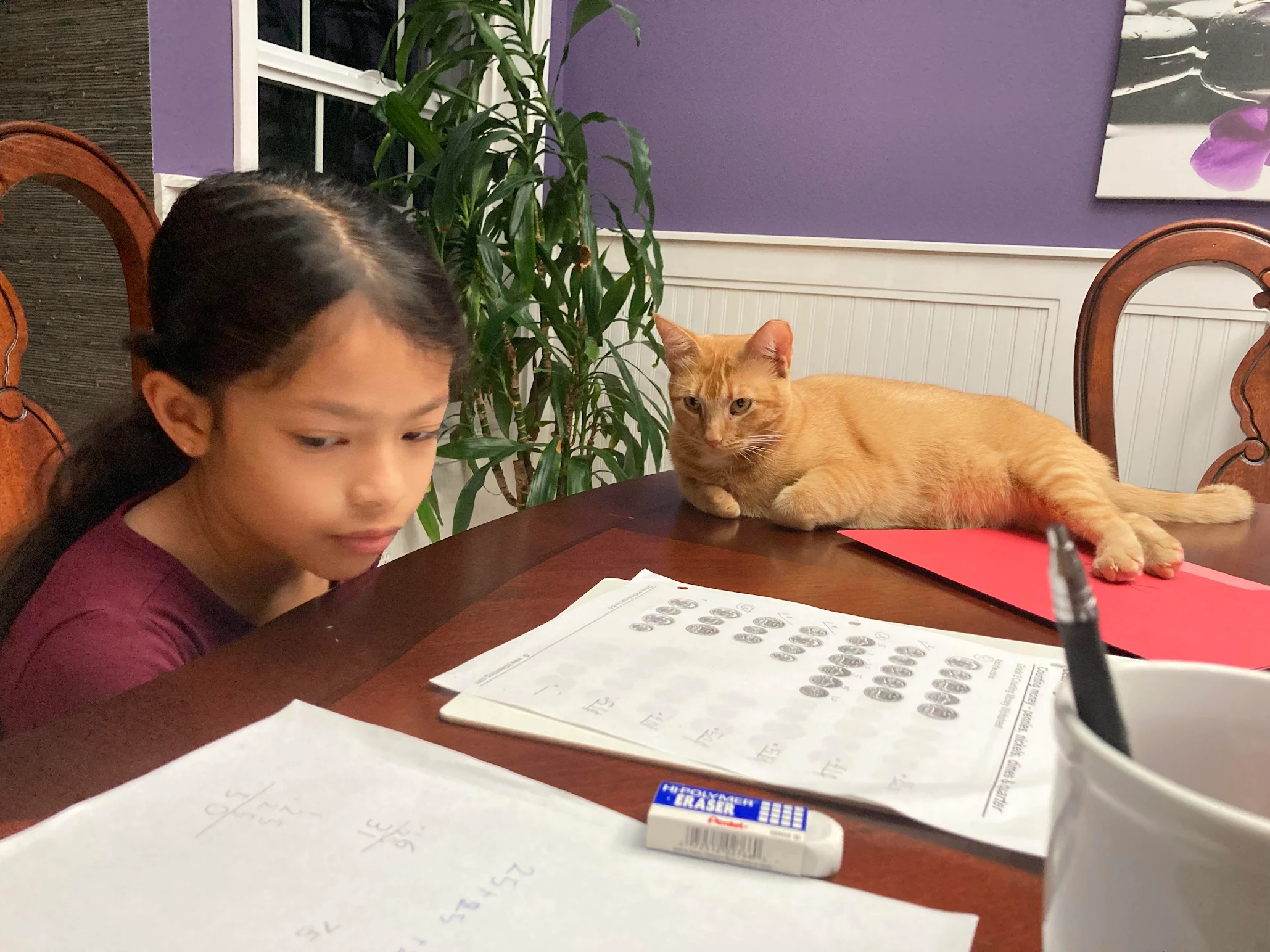 In-home tutoring session