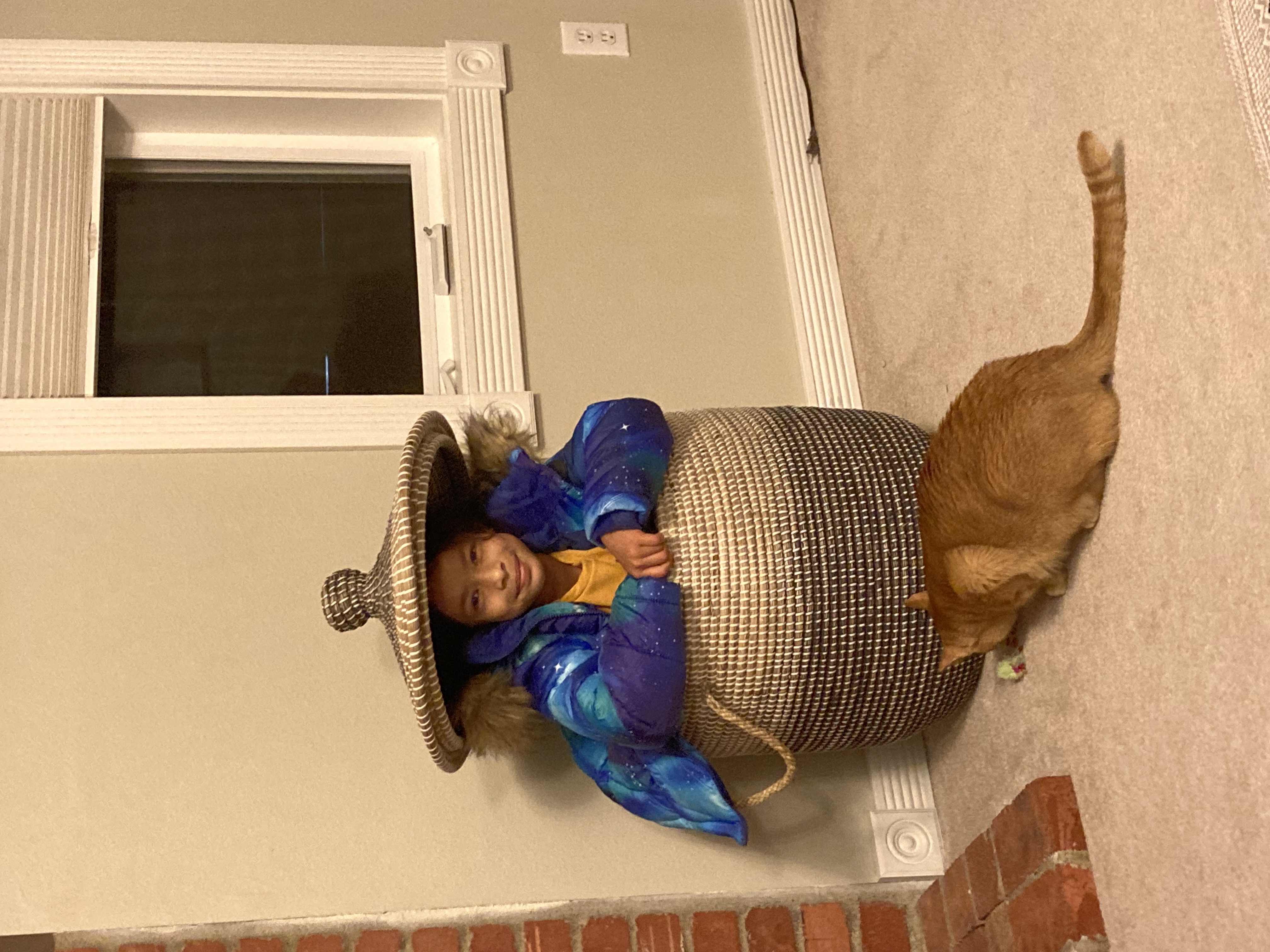 Fun with my cat pumpkin